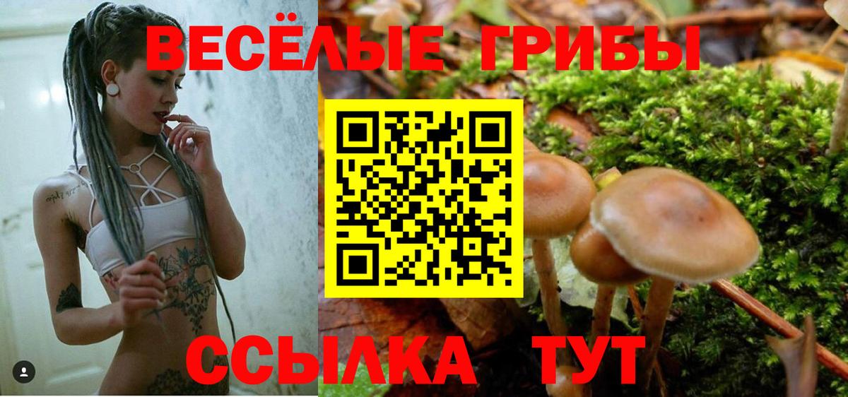 Черногорск  Псилоцибиновые грибы Psilocybine cubensis  купить  сайты  Галлюциногенные грибы MAGIC MUSHROOMS  Вход с VPN 